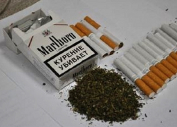  Волгодонец маскировал марихуану под табак
