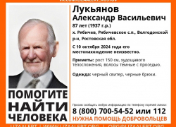 87-летний дедушка таинственно исчез под Волгодонском