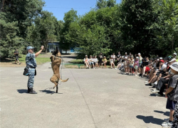 Полицейские Волгодонска показали детям служебных собак и криминалистику в лагере «Ивушка»