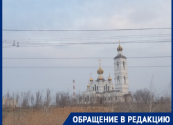 «Лучший открыточный вид в городе уничтожили бездумной посадкой деревьев»: волгодонец о странном озеленении около путепровода