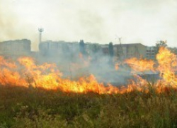 В новом городе сгорело 5 гектаров сухостоя