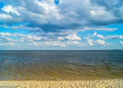 В Волгодонске весеннее тепло гармонирует с сильным ветром