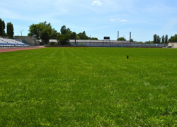 На стадионе «Труд» вырос новый зеленый газон