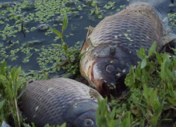 В Волгодонске переложат проблемный  канализационный коллектор на В-25