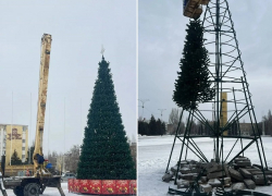 Прощание с елками: до конца недели с улиц Волгодонска уберут все новогодние украшения