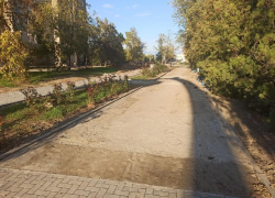 Кто будет содержать в порядке зеленые зоны Волгодонска 