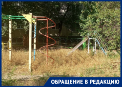 «С начала мая покос был один раз!»: жильцы дома по улице Энтузиастов жалуются на заросшую травой детскую площадку