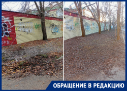 «Уже через пять дней весь сухостой был убран»: волгодонец выражает благодарность коммунальщикам