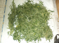 53-летний волгодонец разгуливал по вокзалу Волгодонска с 400 граммами марихуаны