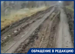 «Атомная разбила нам дорогу»: собственники дач СНТ «Мирный Атом»
