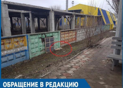 Две недели труп собаки лежит за остановкой, а никому нет до этого дела, - волгодонец возмущен безответственностью коммунальных служб