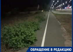 «За лето траву не косили ни разу!»: жители просректа Лазоревого требуют очистить территорию от зарослей