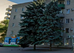 Волгодонск сдаст в аренду недвижимость по соседству с ЗАГСом