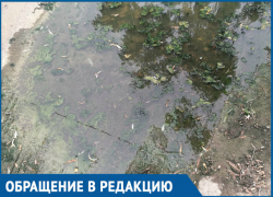 Степную пора переименовать в Болотную, - волгодонцы