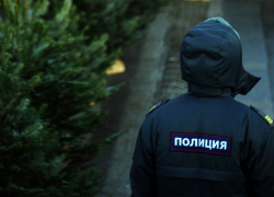 Драки, разбой и кражи стали основными преступлениями в новогодние праздники в Волгодонске