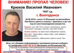  Волгодонец с Пушкиным на плече пропал по дороге в Цимлянск