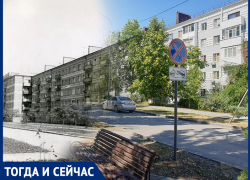 Волгодонск тогда и сейчас: когда деревья на Ленина были ниже человека 