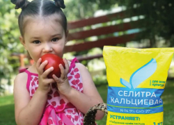 Без кальциевой селитры хороший урожай не соберешь