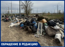 «Свиньи в человеческих масках» за сутки воссоздали свалку за В-9