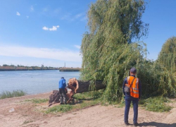 Городской пляж Волгодонска начали приводить в порядок