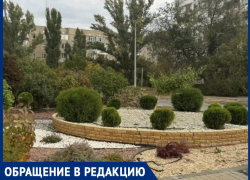 «Все бы клумбы украшали, мы бы город не узнали»: волгодончанка нашла способ победить уличную унылость