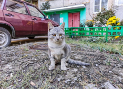 В течении дня в Волгодонске будет сохраняться облачность