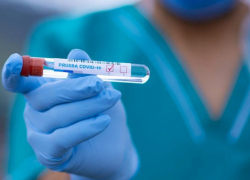 256 положительных тестов на коронавирус получили жители Волгодонска за сутки