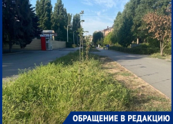«Если бульвар Великой Победы зарос сорняком!»: горожанам даже страшно представить, что в других микрорайонах Волгодонска