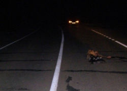 В станице Романовской водитель сбил подростка и скрылся