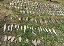 Ущерб на 200 000 рублей: браконьеров из Азовского района задержали на берегу реки Цимла