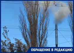 «Мы дышим ядом каждый день!»: как мебельная фабрика «КиМер» травит жителей СНТ «Машиностроитель» 