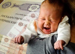 Дубовчанку уличили в  махинации с материнским капиталом