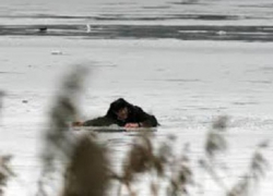 Провалившийся на третьей балке лыжник умер в больнице от переохлаждения