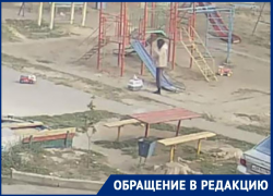 Бездомные кошки оккупировали детскую площадку в Волгодонске: жители боятся за своих детей