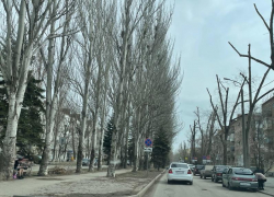 Более 100 новых лавочек установят на улице Ленина