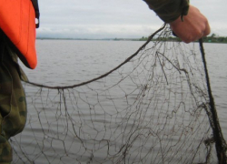 40-летнему мужчине грозит два года тюрьмы за незаконную ловлю рыбы на Сухо-Соленовском заливе 