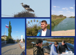 История любви, убранное знамя Победы и почему в Волгодонском районе сохнут сады: итоги недели от «Блокнота»