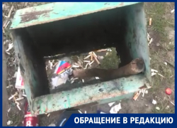 Напротив строящегося Центра единоборств в Волгодонске обнаружили очередную урну без дна