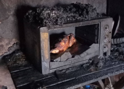 Курочка в микроволновке вызвала страшный пожар