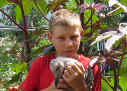 13-летнего волгодонца Анатолия Климова нашли в Красном Яру