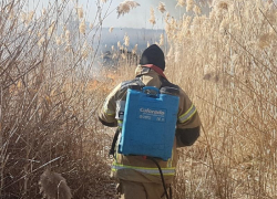 Как вести себя в пожароопасный период рассказали жителям Волгодонска
