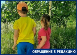 «Детей можно потерять в траве»: заросли травы рядом с администрацией показала волгодончанка 