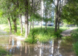 Письмо от читателя: «Куда утекает вода?» (ФОТО)