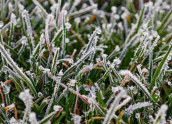 Возможны заморозки: волгодонцев предупредили о возможном ухудшении погоды