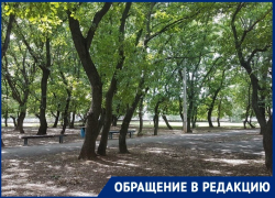 Компания дебоширов поселилась в Дубравушке