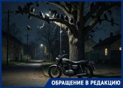 Мотоциклы и вороны превратили в ад жизнь волгодонцев