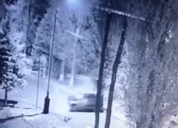 Водитель вылетел из ВАЗа на скорости после удара о дерево в Волгодонске 