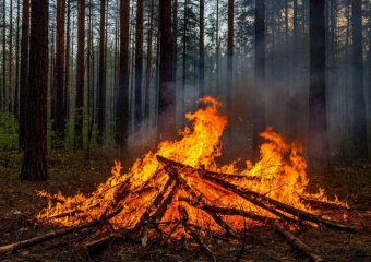 В Волгодонске и области с 6 апреля начнётся пожароопасный сезон