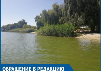 Грязный и запущенный городской пляж возмутил волгодонцев