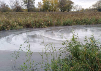 «Нашим предкам река Быстрая дала жизнь – а мы превратили ее в убийцу!»: жители в ужасе от экологического коллапса водоема